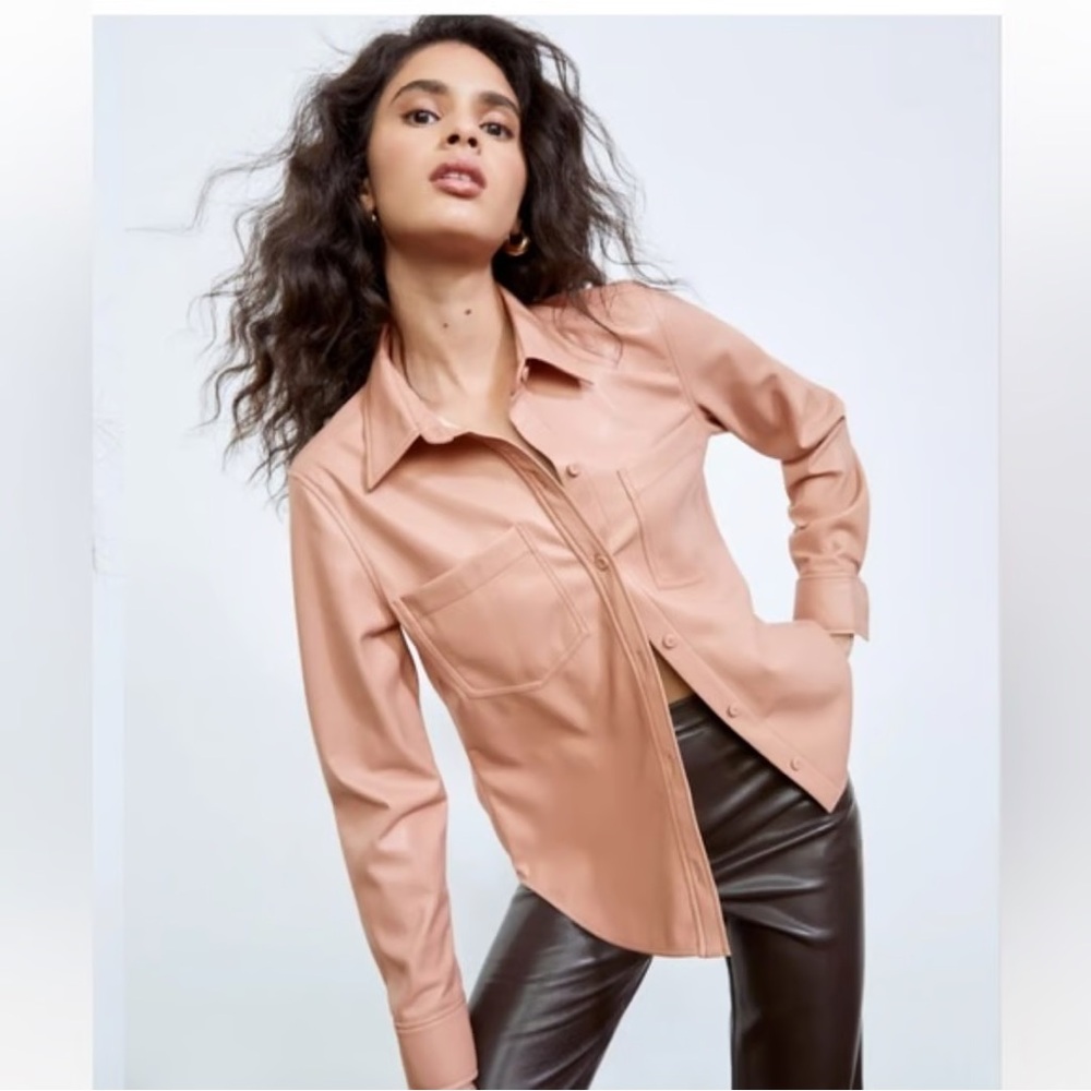 Aritzia Vegan Leather Taryn Shirt